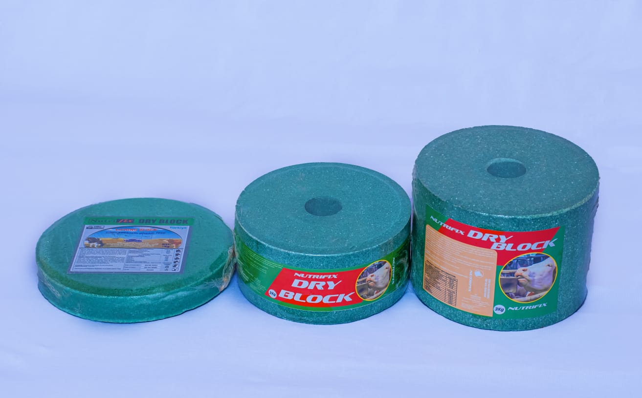 Dry Block 5kg