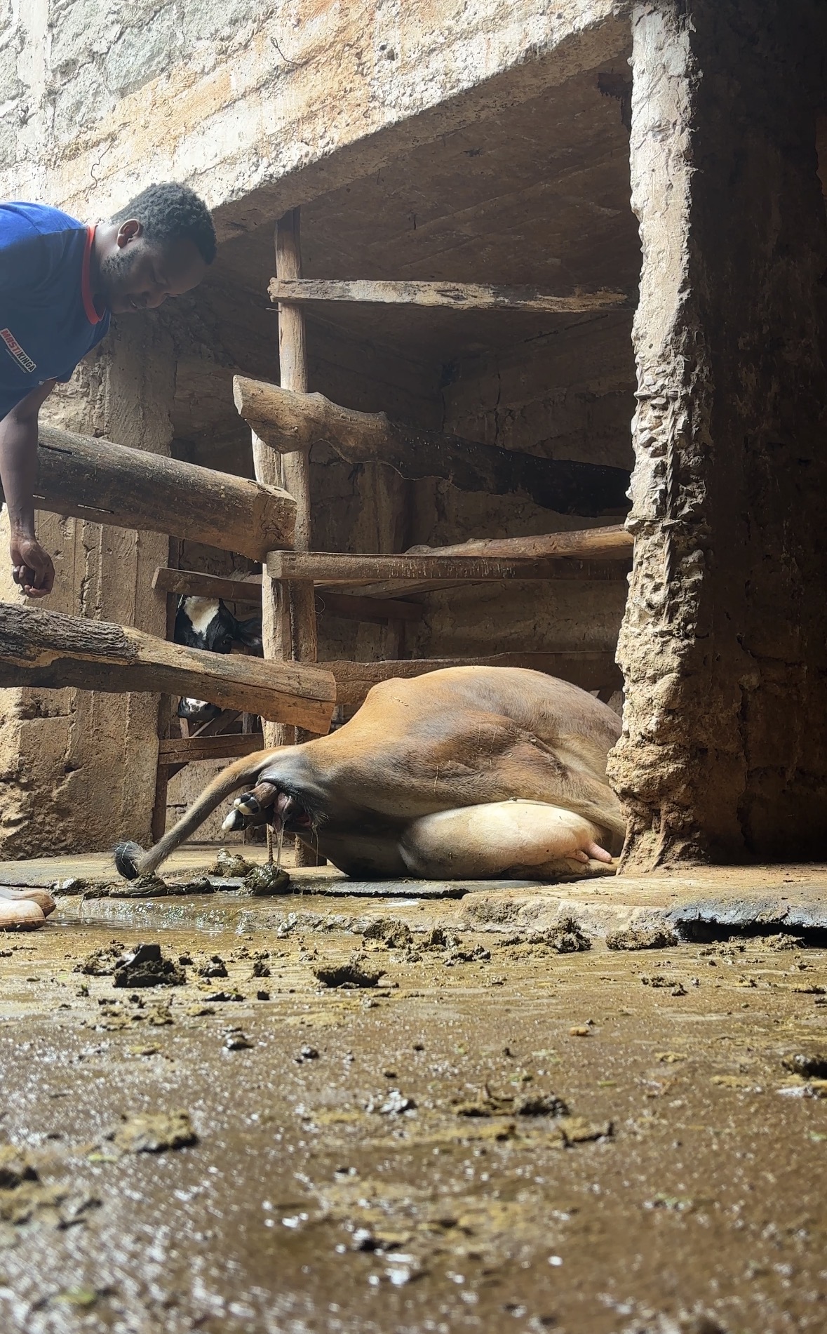THE WAIT THAT FELT LIKE FOREVER – A FARMER’S REWARD